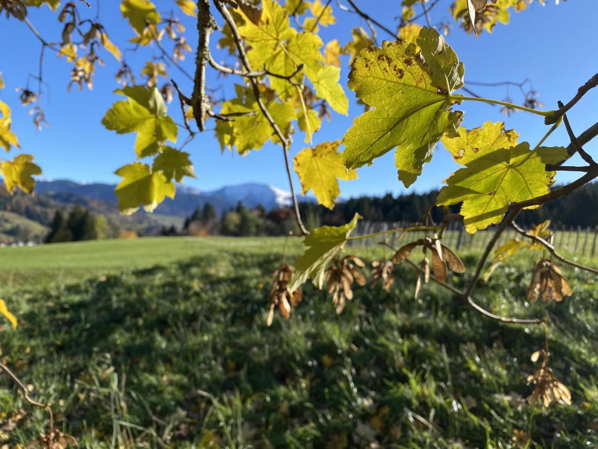 Gaehwindehof Mountain Ranch Resort Oberstaufen Exterior foto